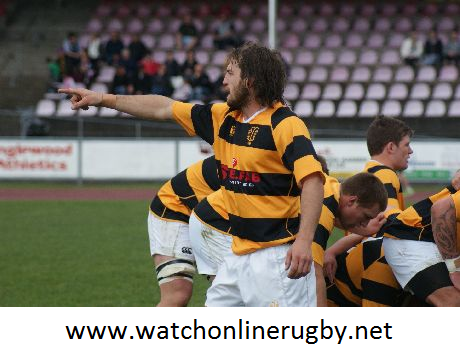 Watch Taranaki vs Tasman Semi Final 2016 Live Online