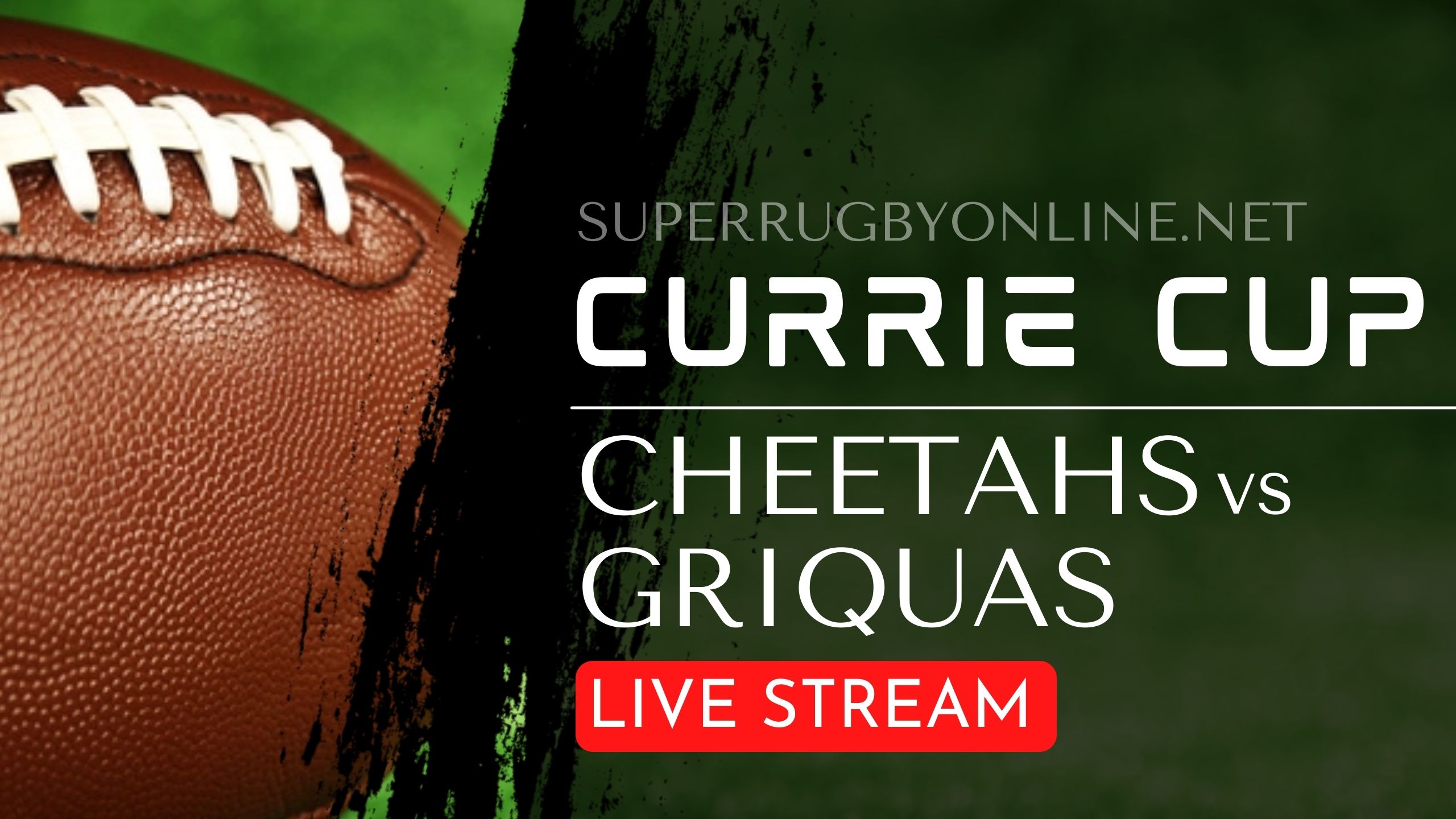 Cheetahs Vs Griquas Full Match Replay Live Online
