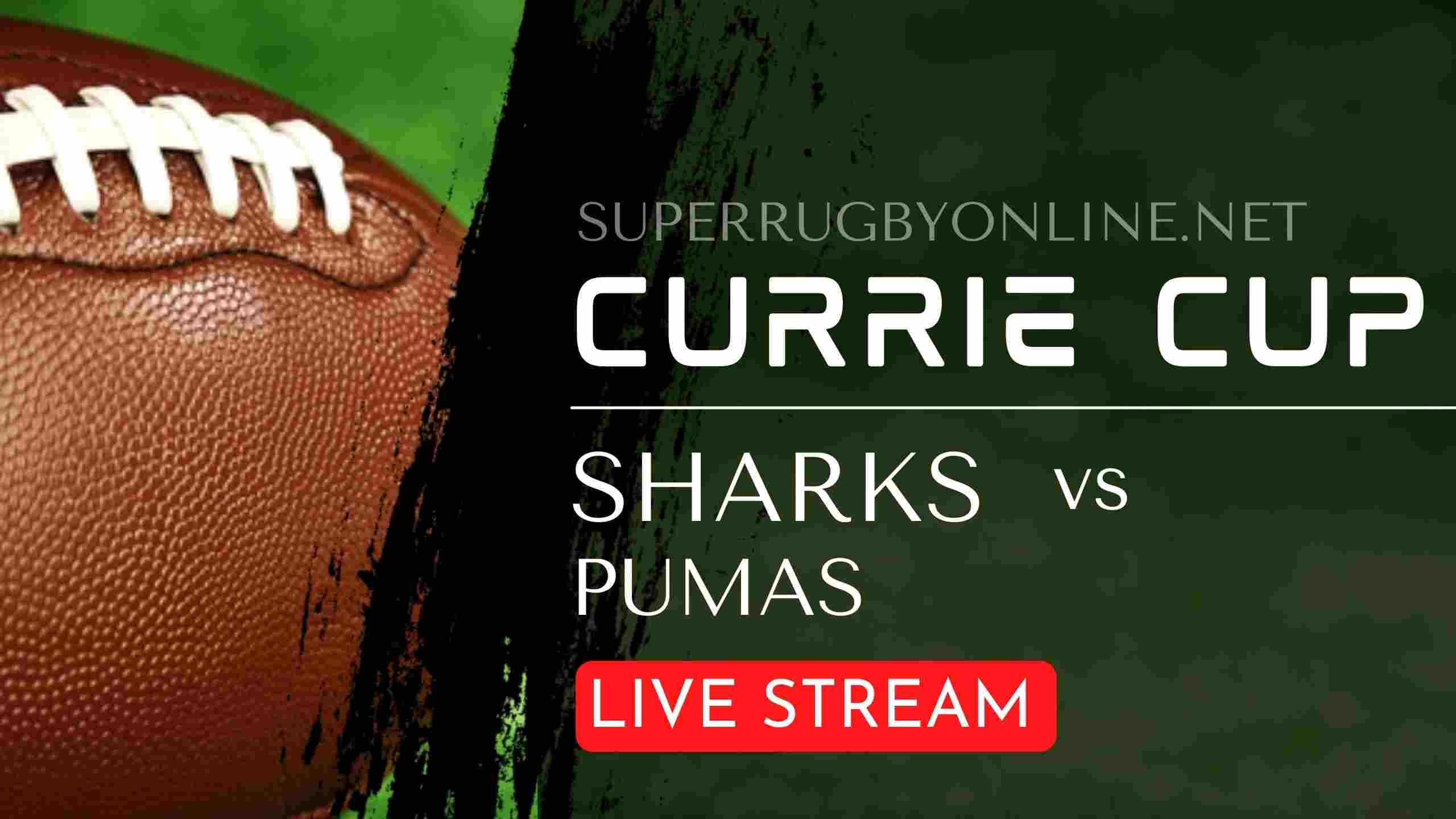 Pumas VS Sharks Full Rugby Matches Live Online