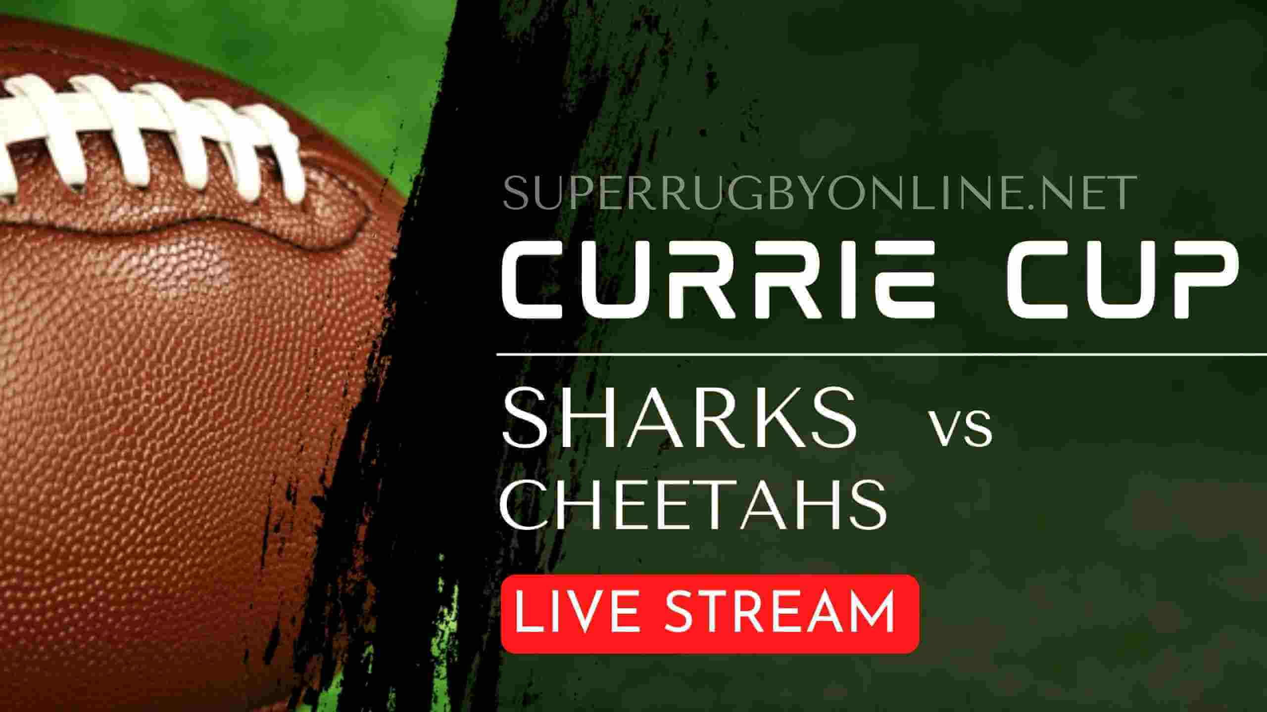 Live Cheetahs VS Shark Coverage