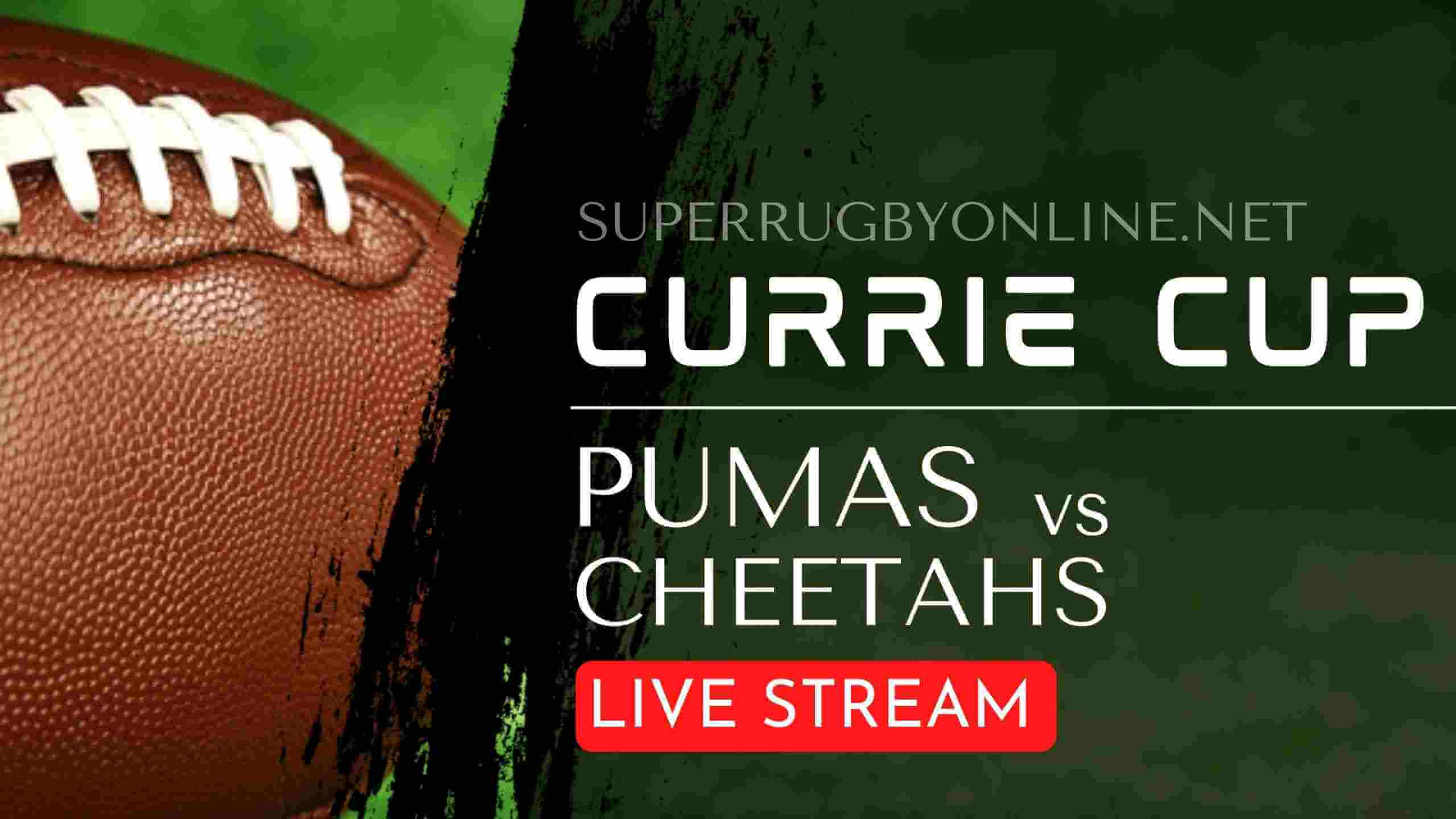 Cheetahs Vs Pumas Full Rugby Matches Live Online
