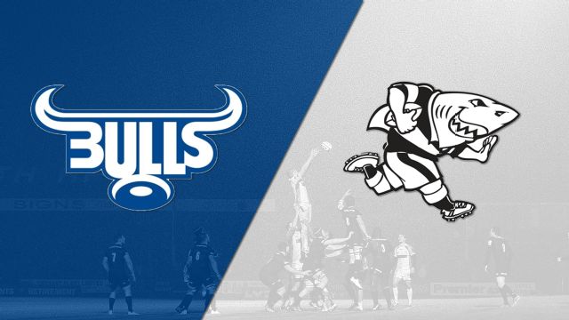 Bulls Vs Sharks Rugby Live Online