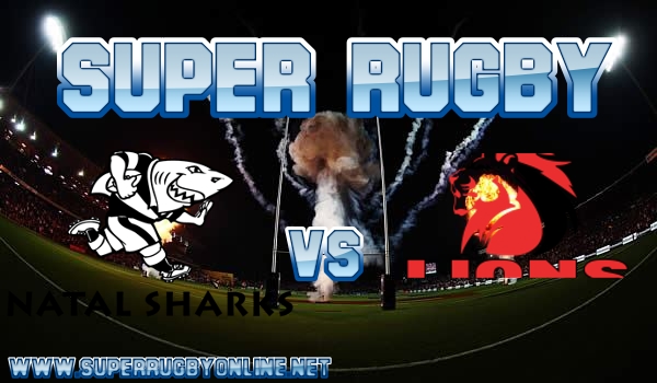 Sharks VS Lions Live Stream