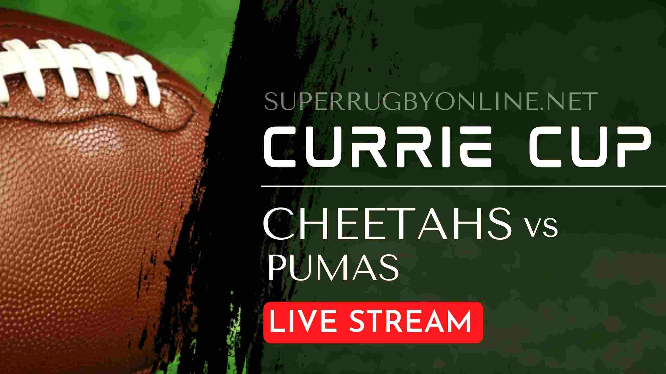 Cheetahs vs Pumas Currie Cup Live Stream